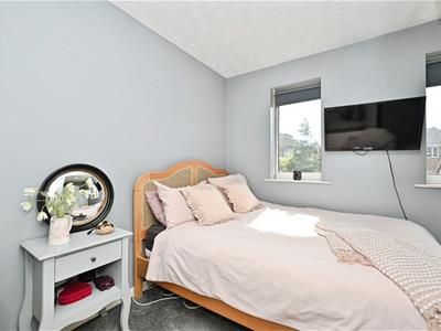 Picture 15